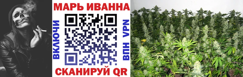 Где найти наркотики Светлогорск КОКАИН Альфа ПВП НБОМе Конопля