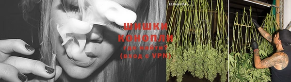 мдпв Снежногорск