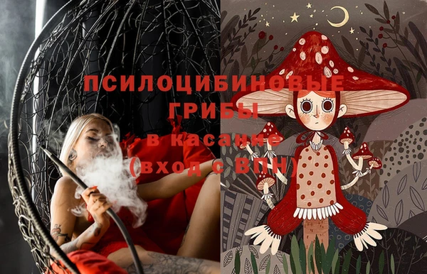 прущая мука Верея