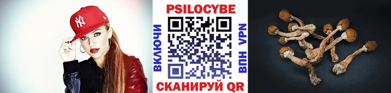 blacksprut зеркало  Светлогорск  Галлюциногенные грибы MAGIC MUSHROOMS 